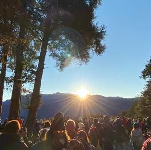 Meet your Posher, Ivy